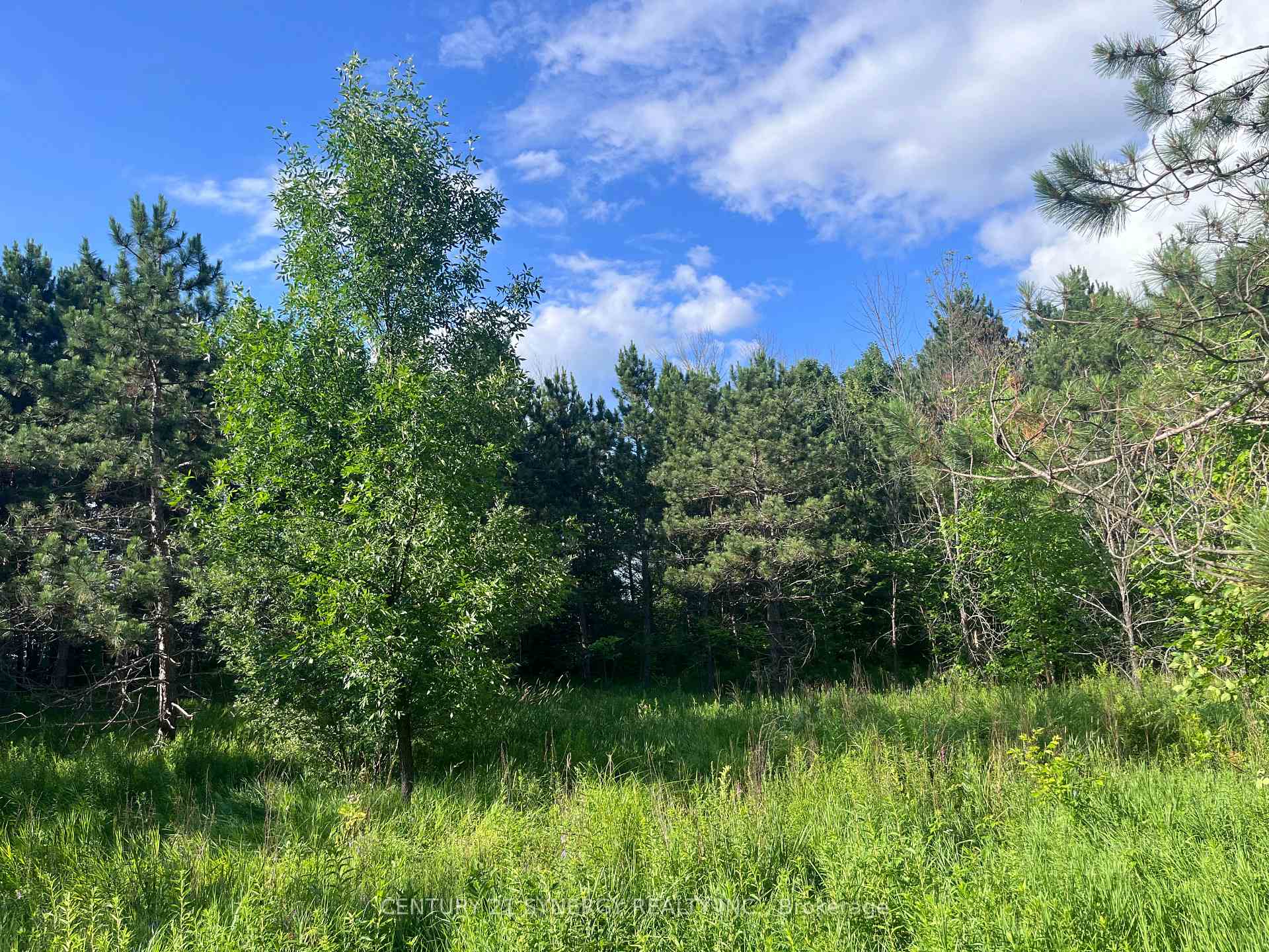 Photo 18 of 00 Russett Drive, McNab/Braeside, Mcnab/Braeside Twps — HOMEH