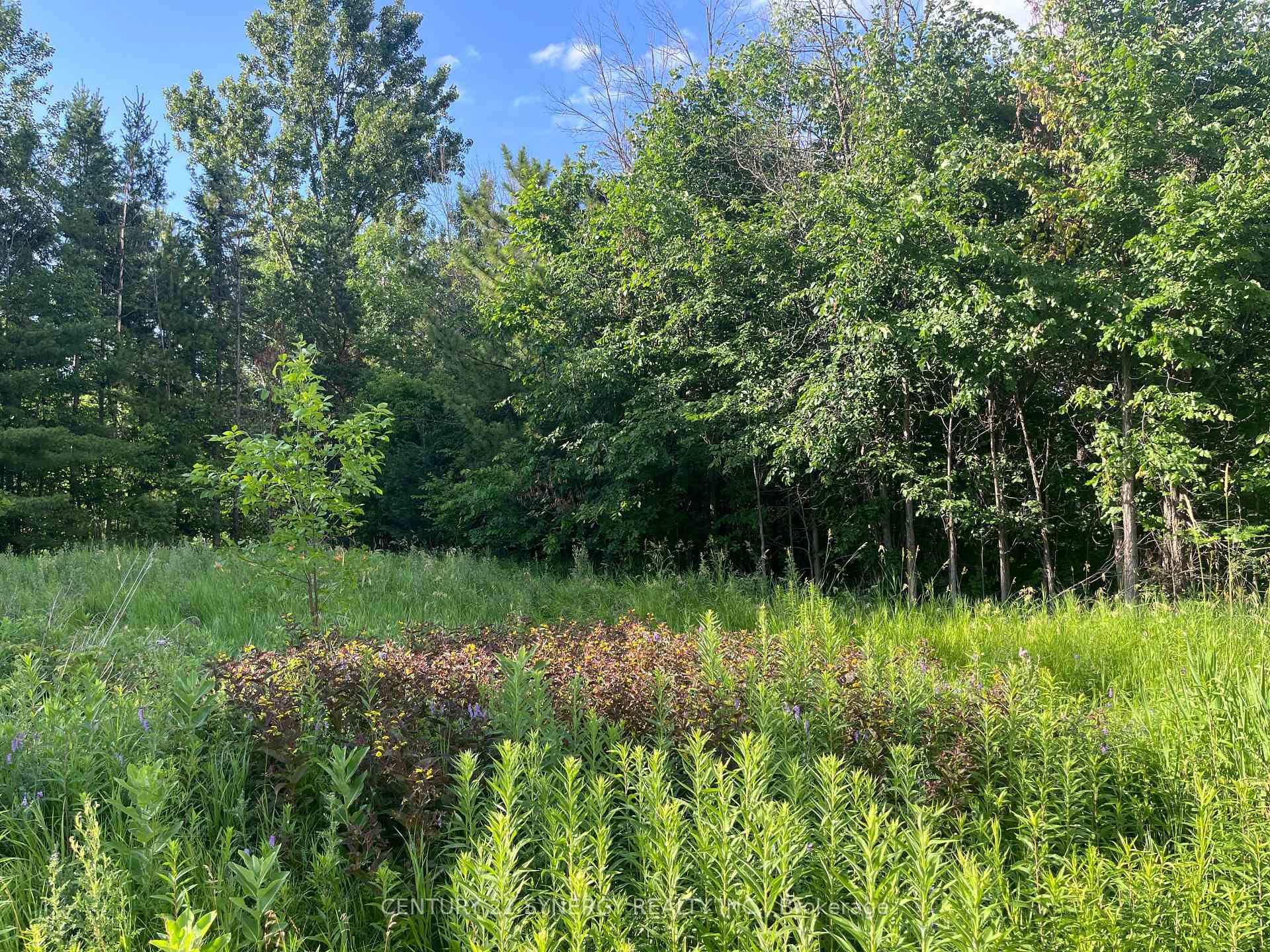 Photo 22 of 00 Russett Drive, McNab/Braeside, Mcnab/Braeside Twps — HOMEH