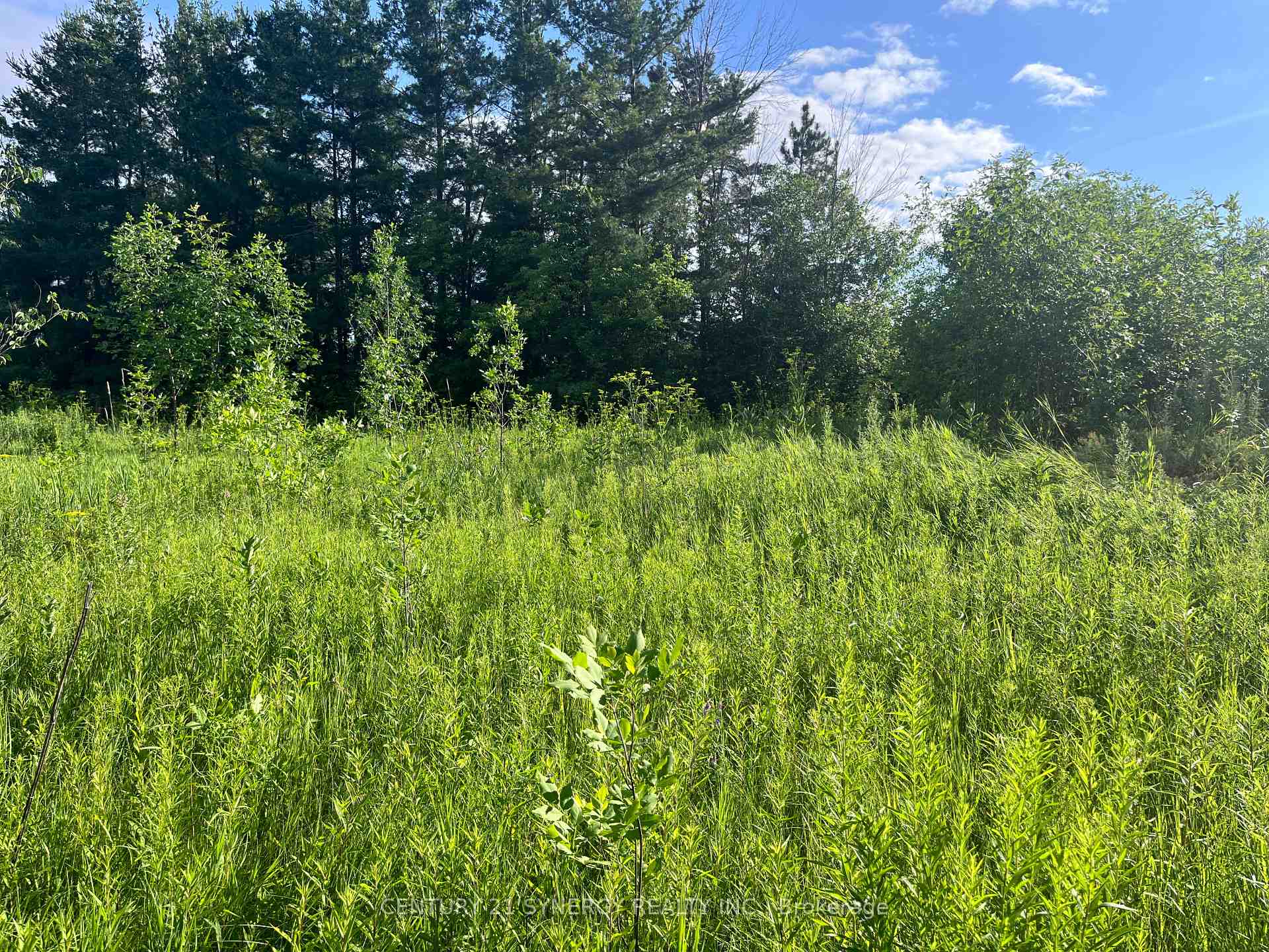 Photo 10 of 00 Russett Drive, McNab/Braeside, Mcnab/Braeside Twps — HOMEH