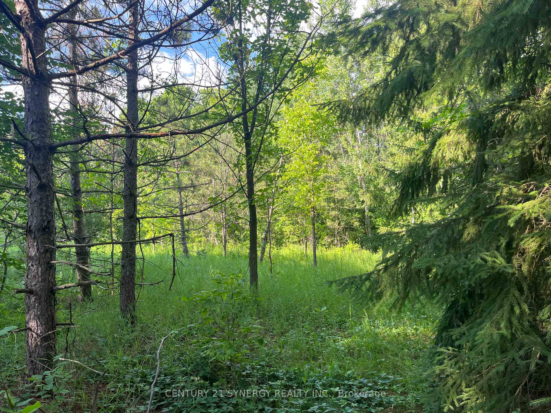 Photo 13 of 00 Russett Drive, McNab/Braeside, Mcnab/Braeside Twps — HOMEH