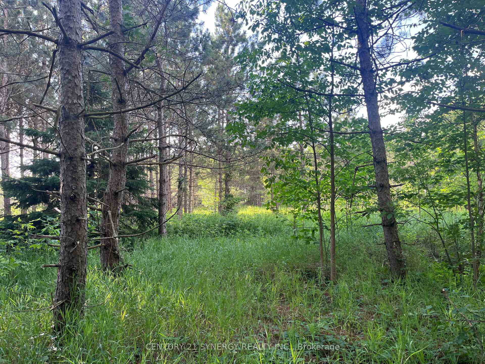 Photo 11 of 00 Russett Drive, McNab/Braeside, Mcnab/Braeside Twps — HOMEH