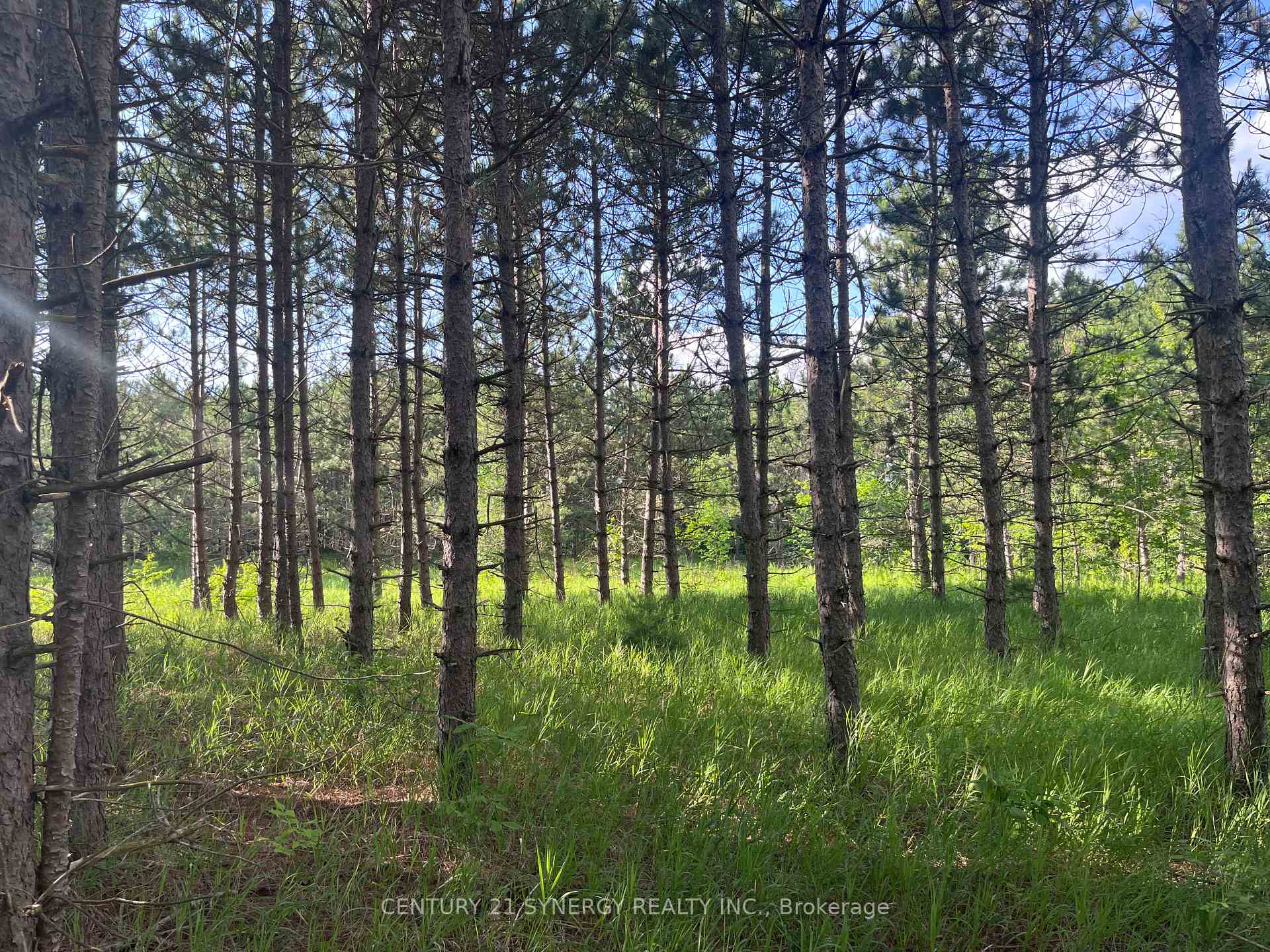Photo 9 of 00 Russett Drive, McNab/Braeside, Mcnab/Braeside Twps — HOMEH