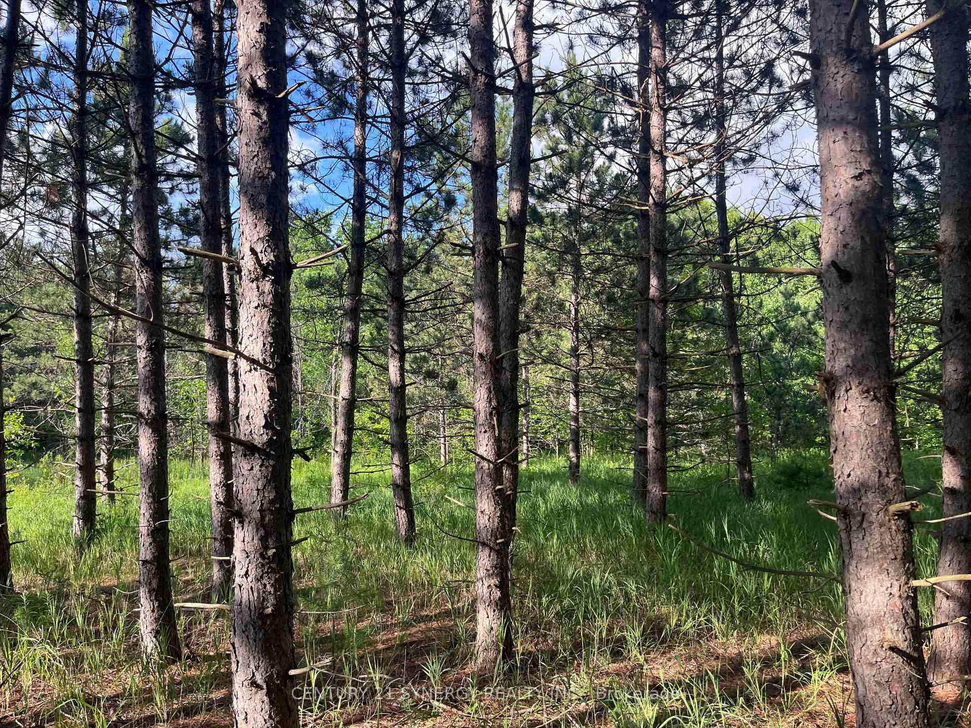 Photo 24 of 00 Russett Drive, McNab/Braeside, Mcnab/Braeside Twps — HOMEH