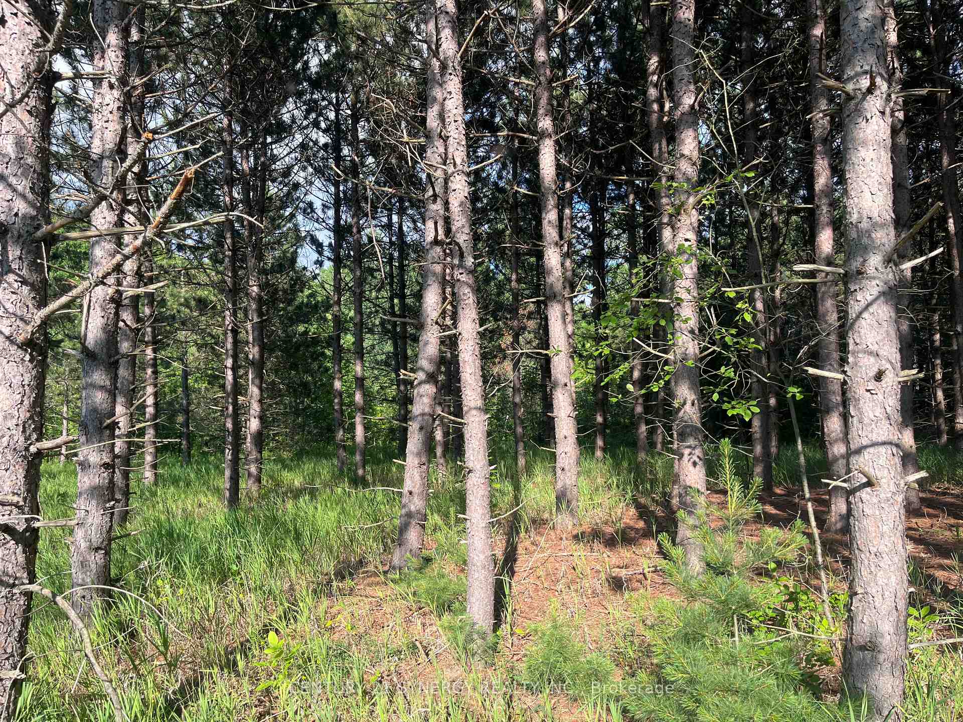 Photo 21 of 00 Russett Drive, McNab/Braeside, Mcnab/Braeside Twps — HOMEH