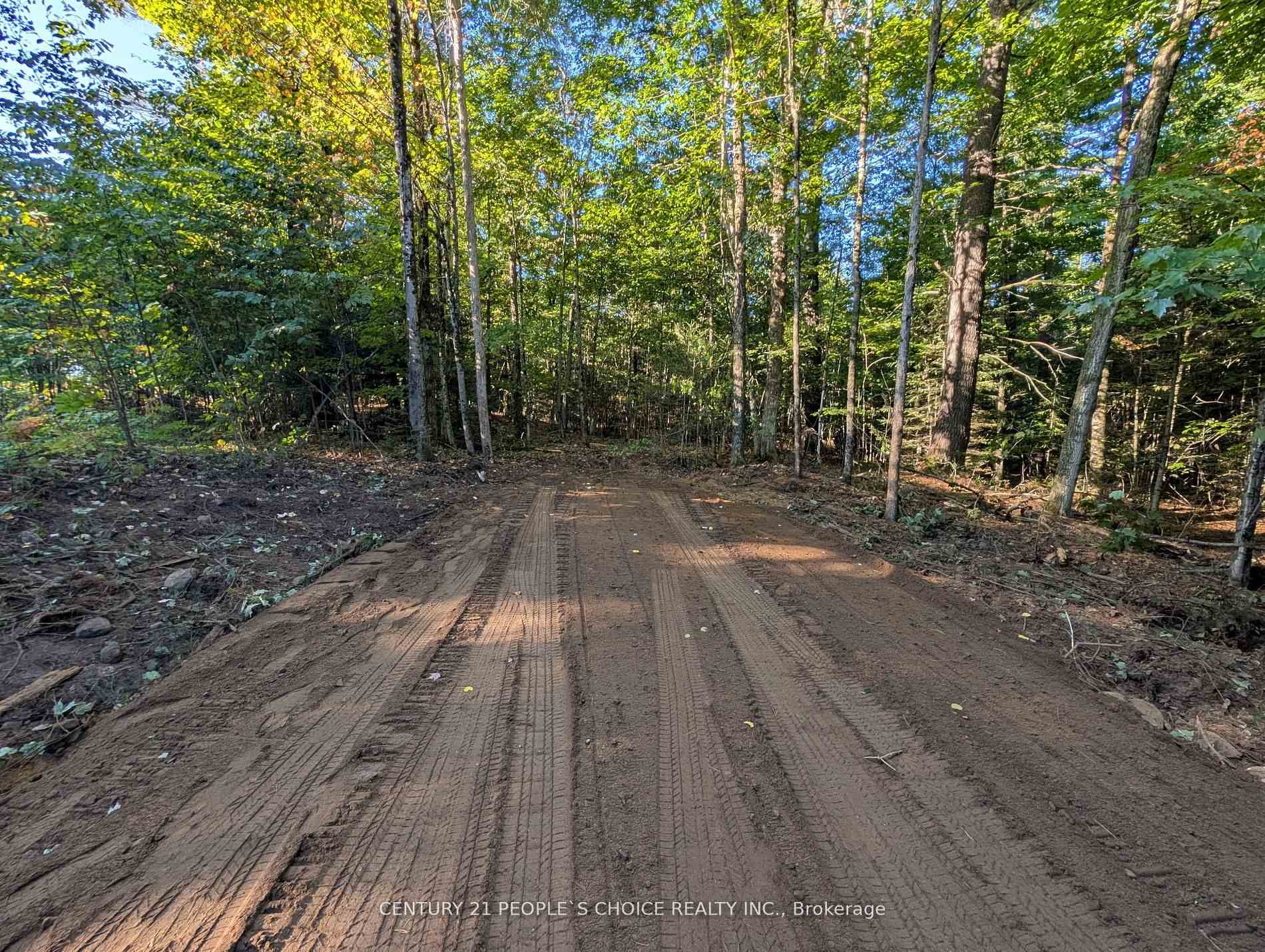 Photo of 1055 Porkys Road