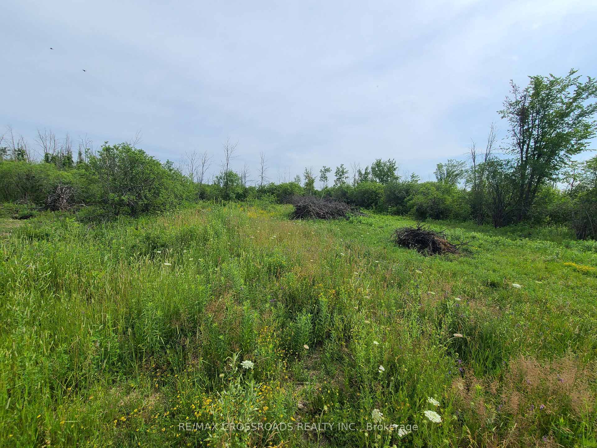 Photo 39 of B25512 Durham Regional Rd23 Road, Brock, Rural Brock — HOMEH