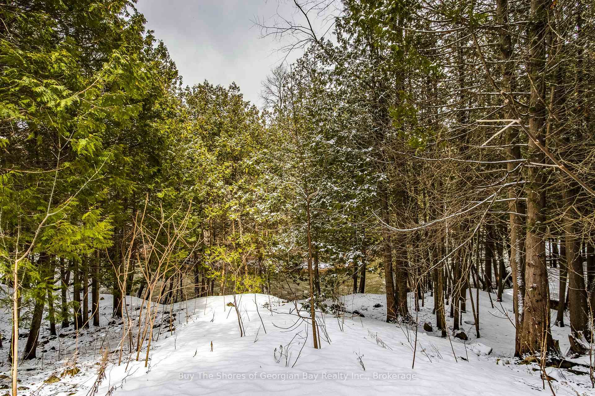 Photo 41 of 399 Dawson's Side Road, Tiny, Rural Tiny — HOMEH
