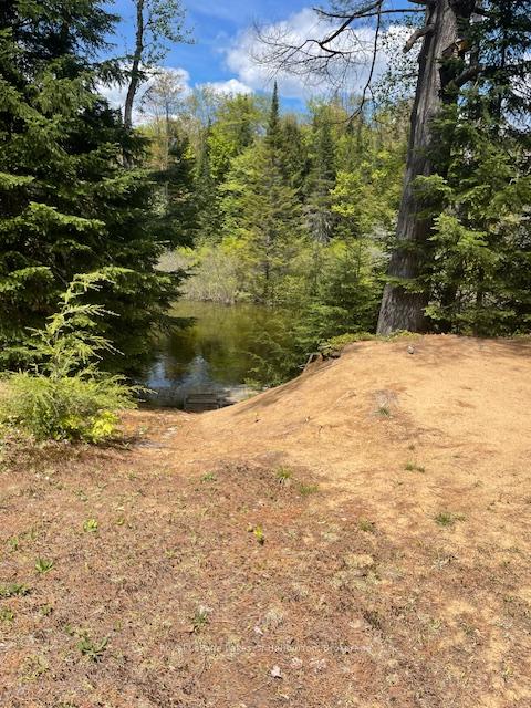 Photo 6 of 1675 Braeloch Road, Algonquin Highlands, Stanhope — HOMEH