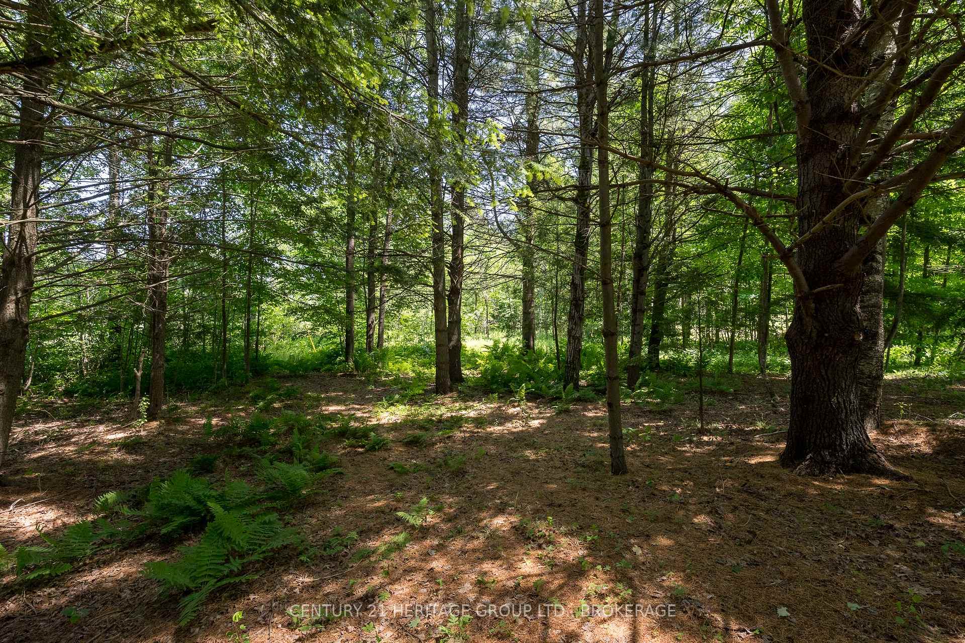 Photo 34 of 242 White Lake Road, Frontenac, Frontenac Centre — HOMEH