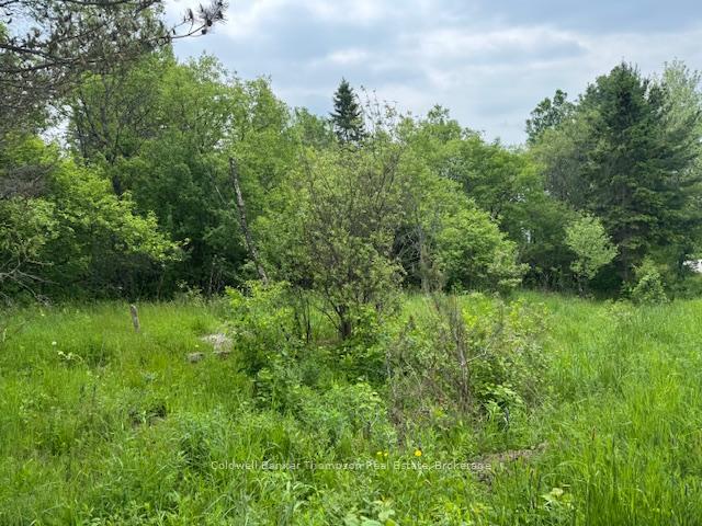Photo 1 of Church Street SE, Magnetawan — HOMEH