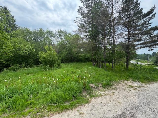 Photo 2 of Church Street SE, Magnetawan — HOMEH