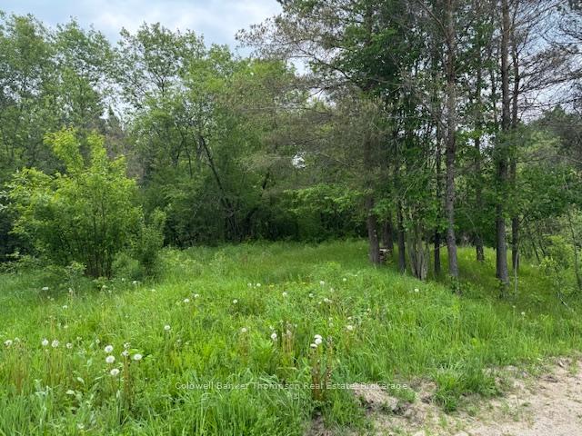 Photo 4 of Church Street SE, Magnetawan — HOMEH