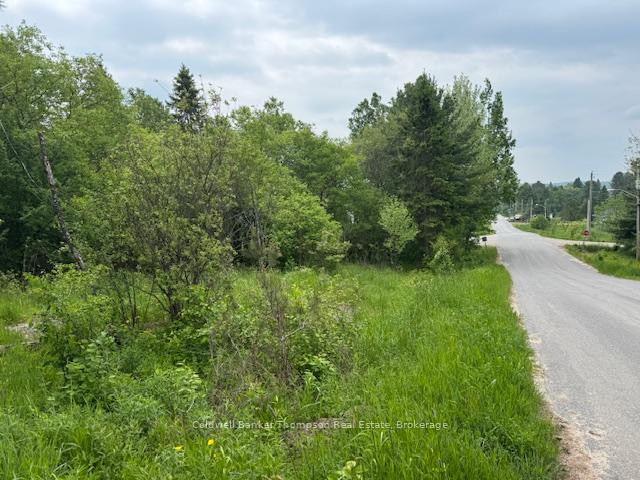 Photo 3 of Church Street SE, Magnetawan — HOMEH