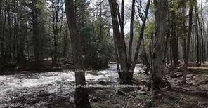 Photo 3 of LOT 4 Future Lane S, Stirling-Rawdon, Rawdon Ward — HOMEH