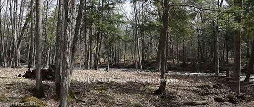 Photo 6 of LOT 4 Future Lane S, Stirling-Rawdon, Rawdon Ward — HOMEH