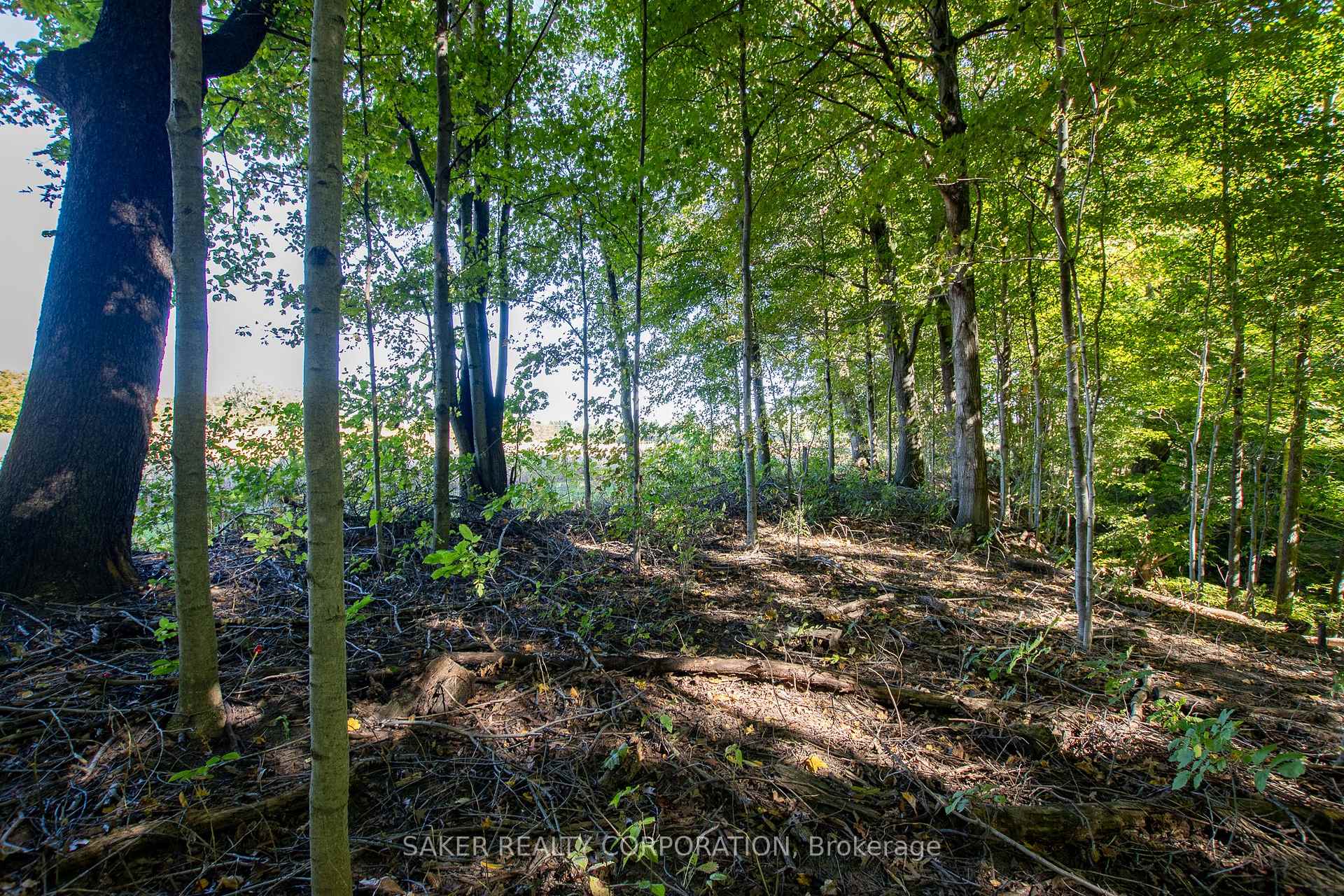 Photo 9 of 22560 Troops Road, Strathroy-Caradoc, Rural Strathroy-Caradoc — HOMEH