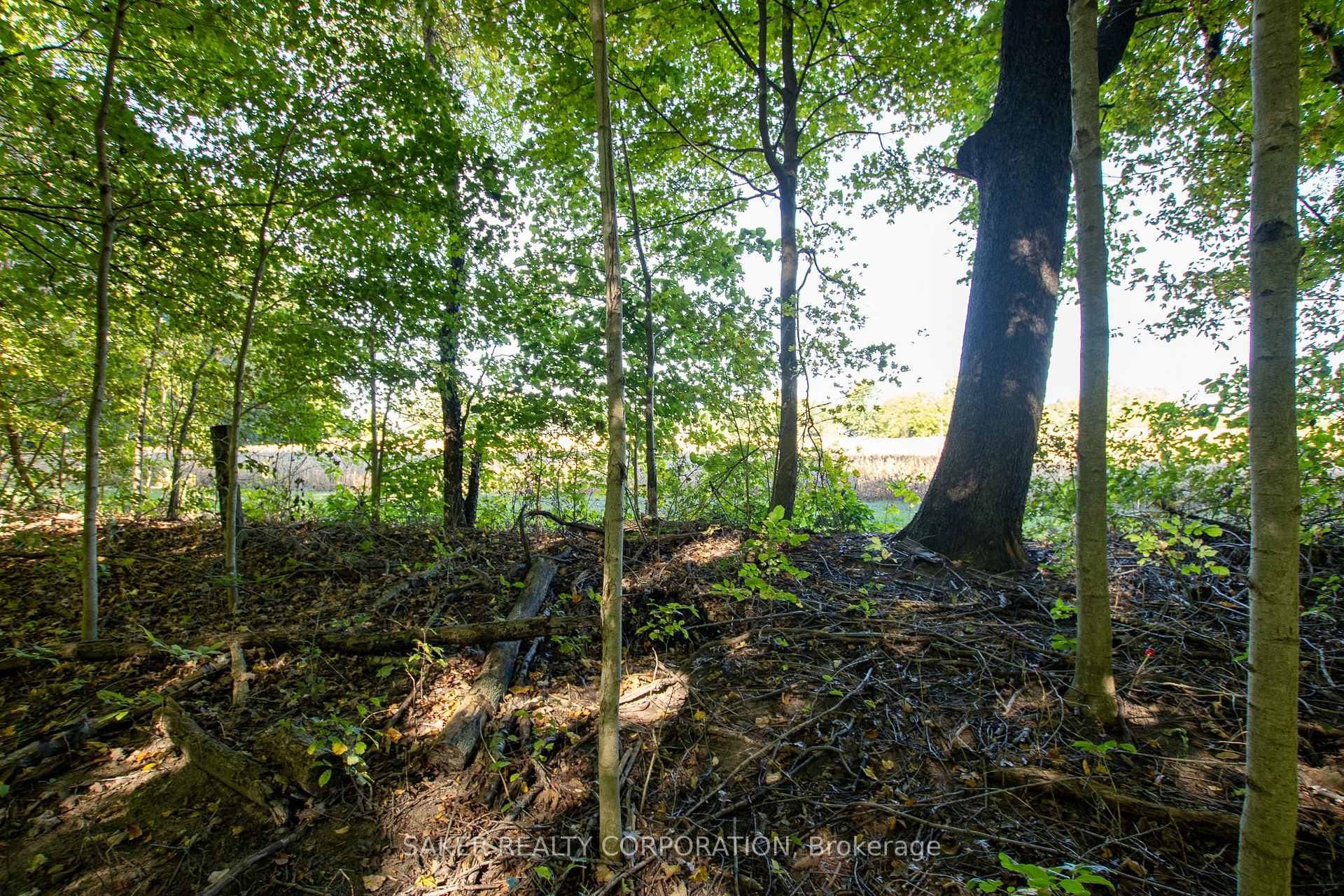 Photo 10 of 22560 Troops Road, Strathroy-Caradoc, Rural Strathroy-Caradoc — HOMEH