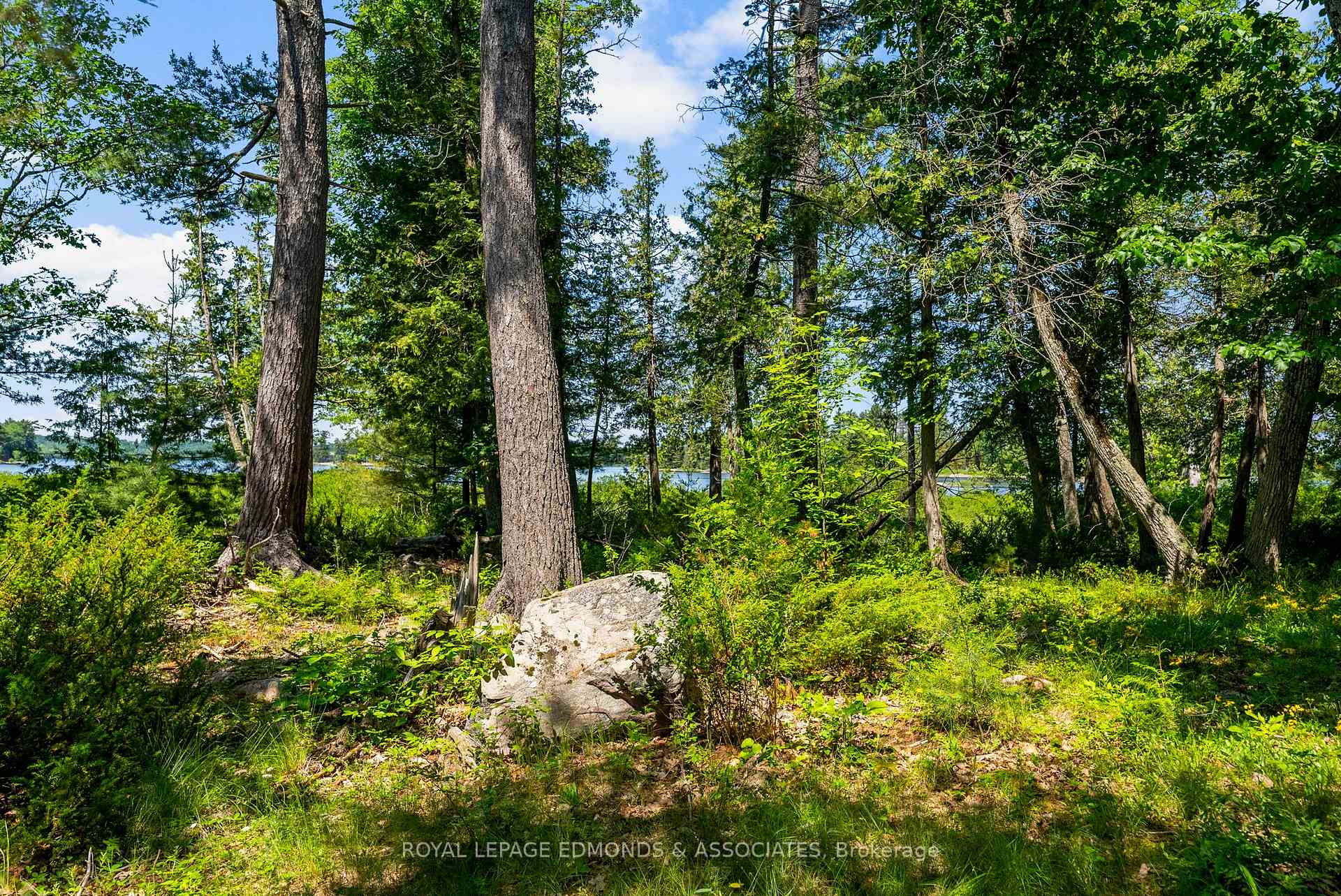 Photo 8 of Riddell Island, Petawawa — HOMEH