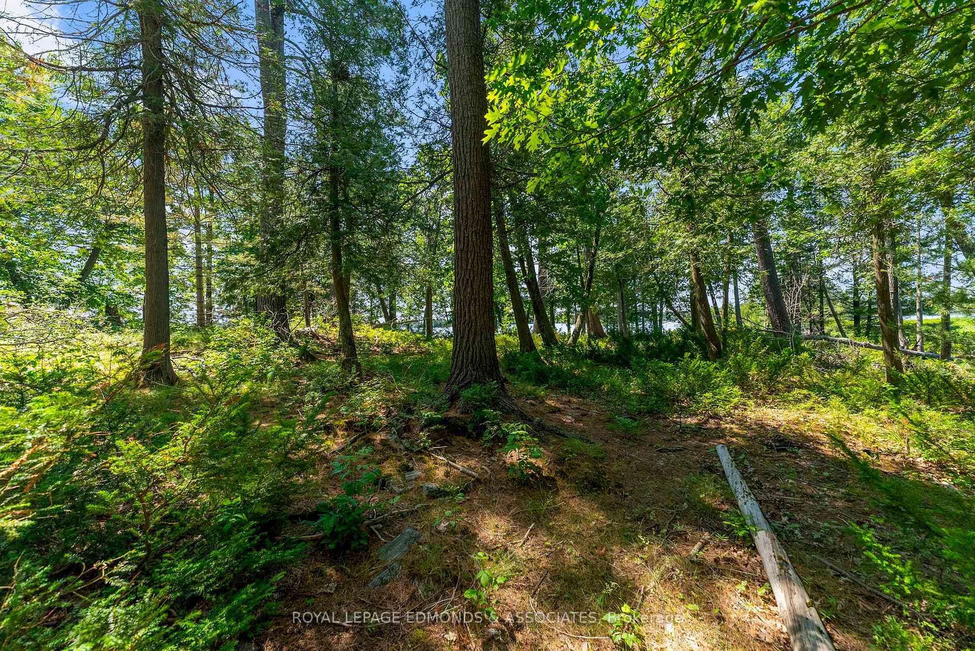 Photo 27 of Riddell Island, Petawawa — HOMEH
