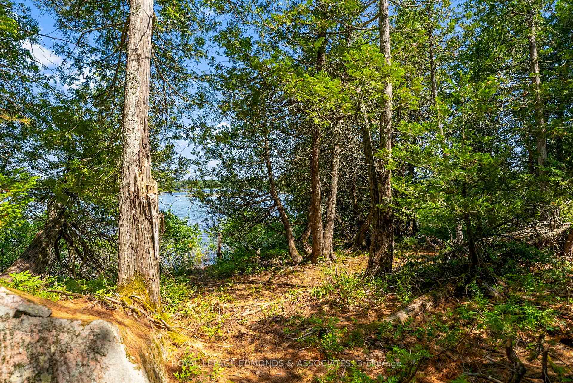 Photo 24 of Riddell Island, Petawawa — HOMEH