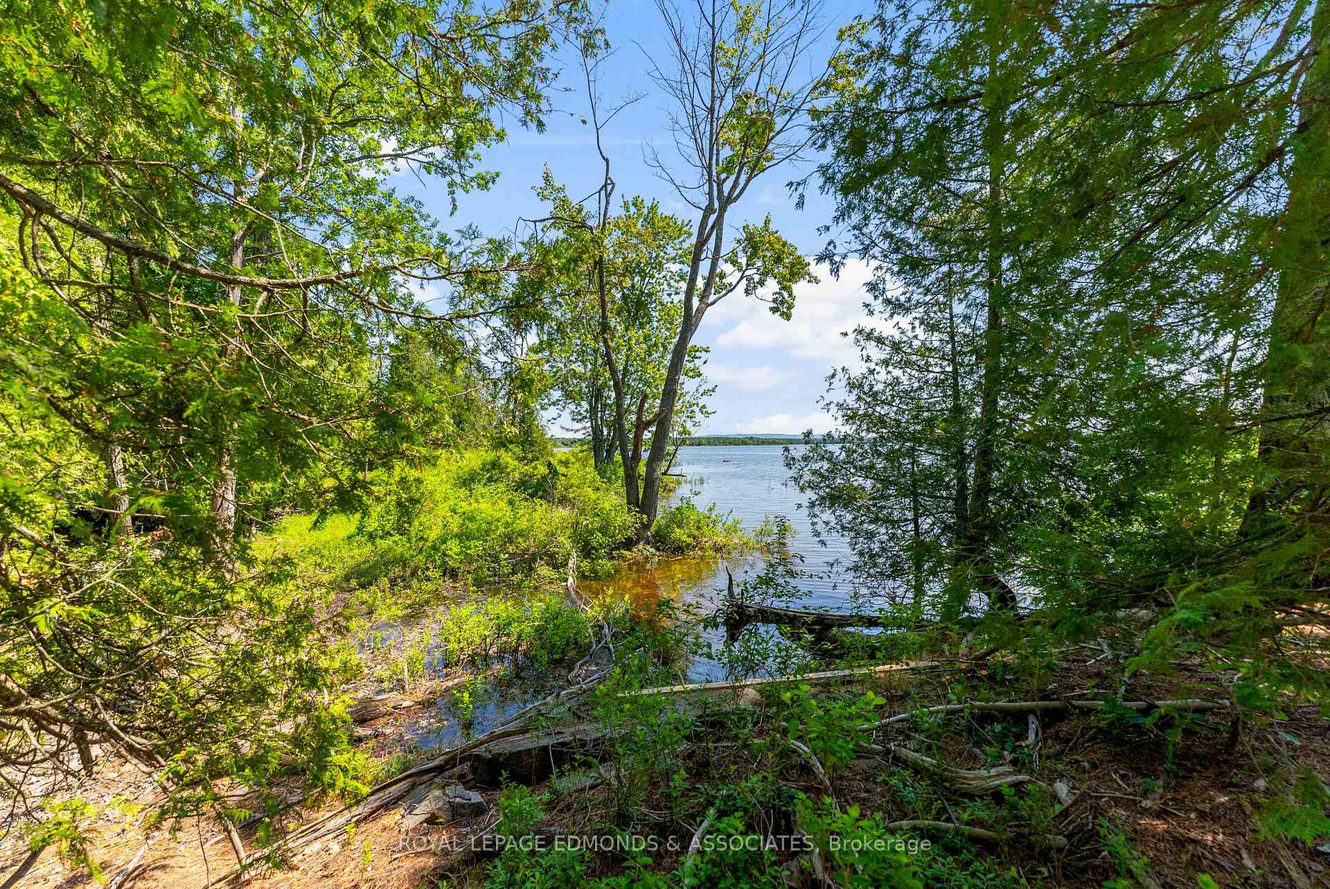 Photo 11 of Riddell Island, Petawawa — HOMEH