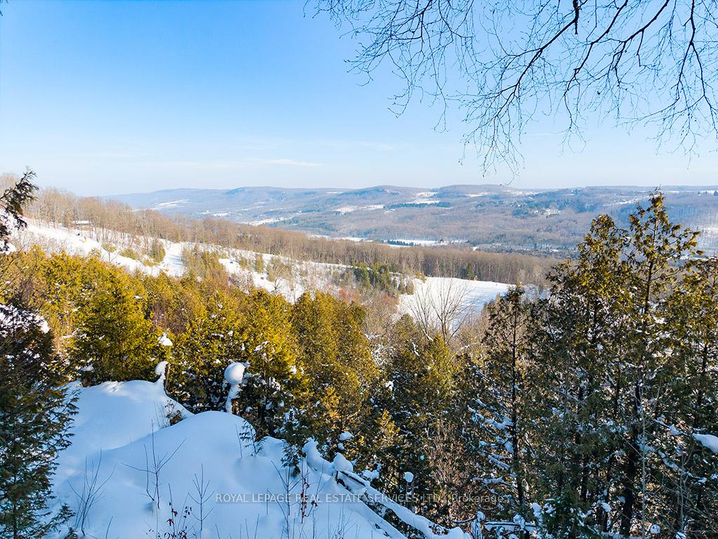 Photo 27 of 157 Bowles Bluff Road, Grey Highlands — HOMEH