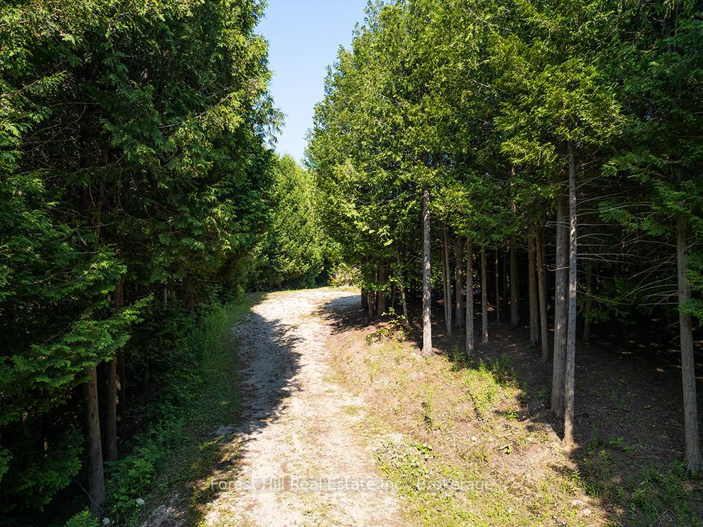 Photo 6 of 596325 Concession 10, Chatsworth — HOMEH