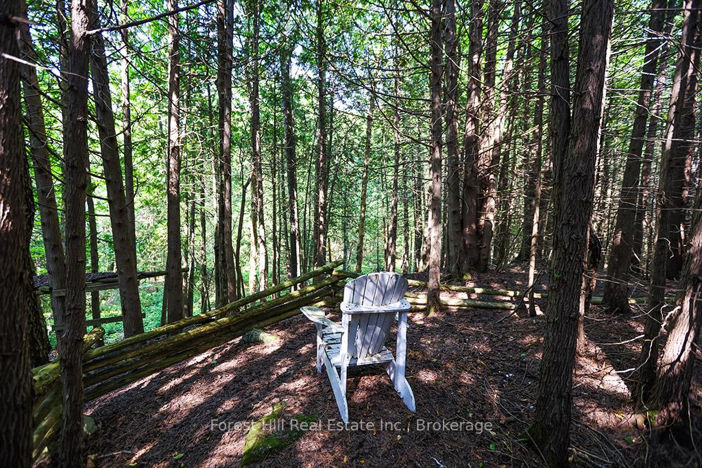Photo 18 of 596325 Concession 10, Chatsworth — HOMEH