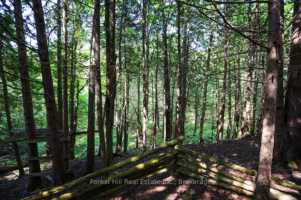 Photo 22 of 596325 Concession 10, Chatsworth — HOMEH