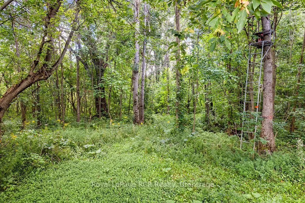 Photo 49 of 195781 Grey 7 Road, Grey Highlands — HOMEH