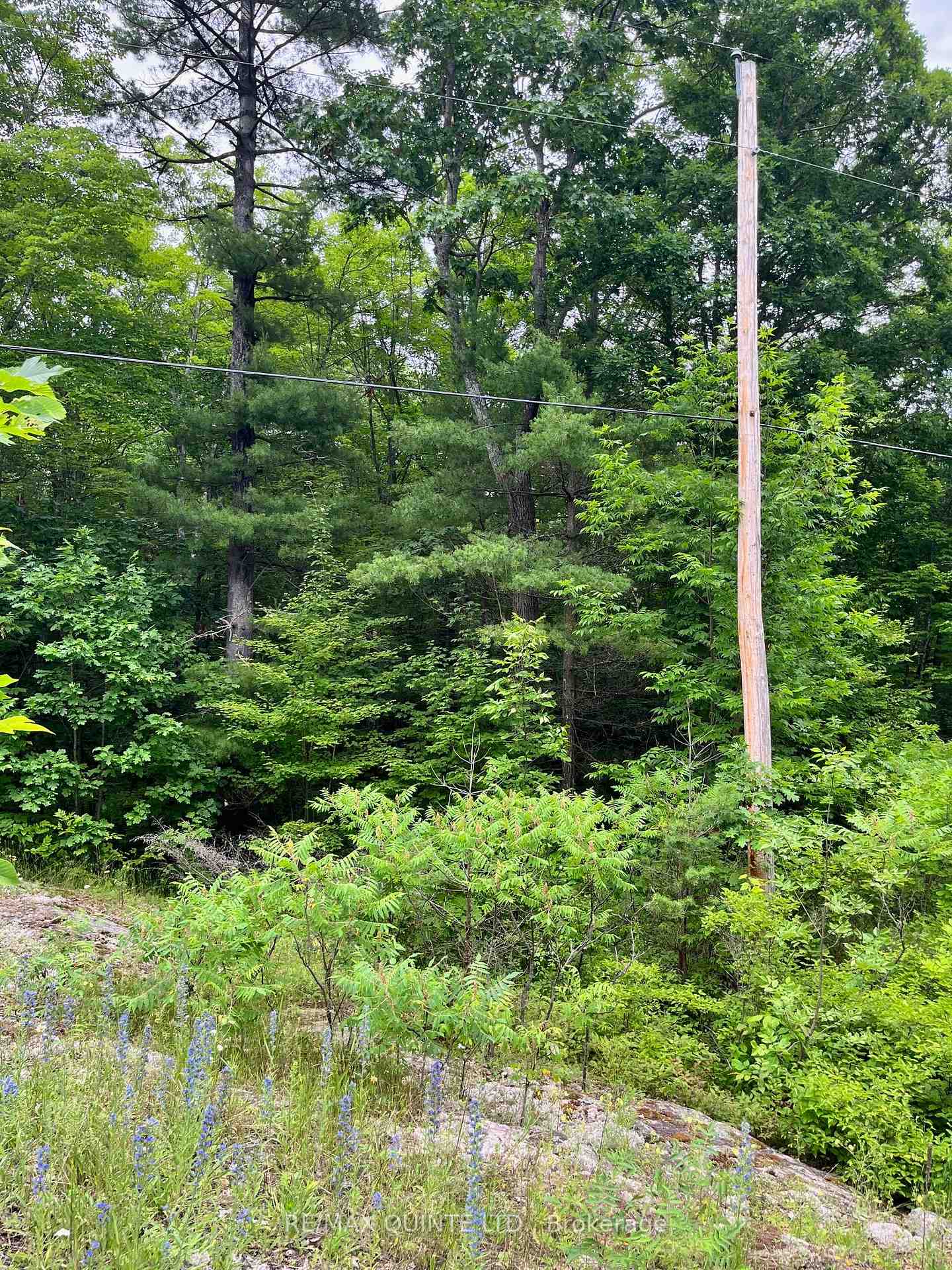 Photo of 0 (PIN - 40264-0091) Potter Settlement Road