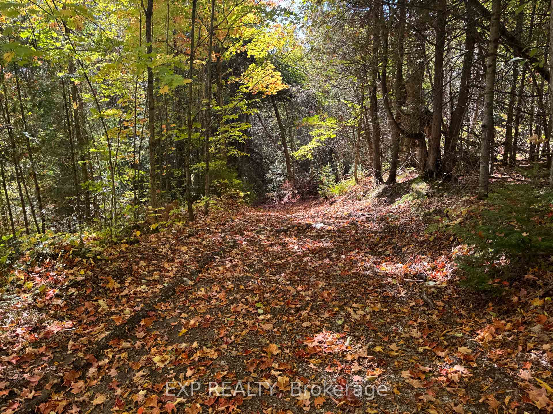 Photo 19 of 1083 County Rd 6, Douro-Dummer — HOMEH