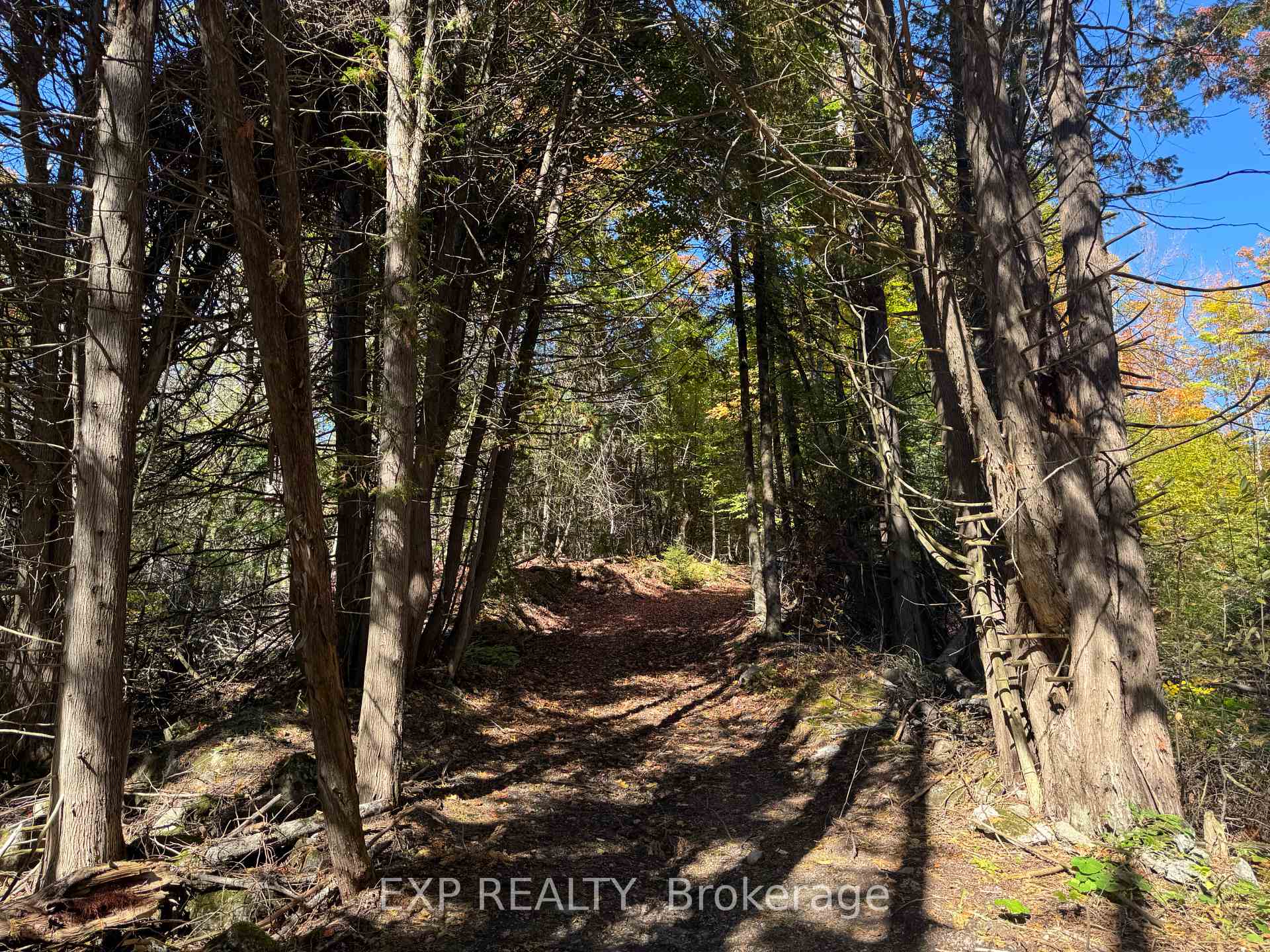 Photo 20 of 1083 County Rd 6, Douro-Dummer — HOMEH