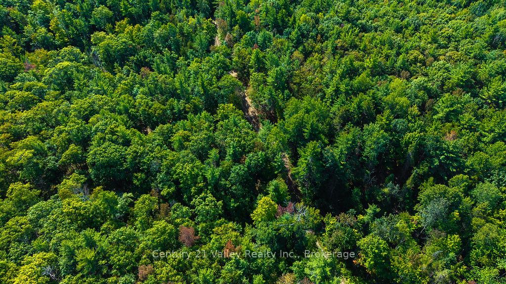 Photo 10 of 1510 Keller Road, Bonnechere Valley, Eganville/Bonnechere Twp — HOMEH