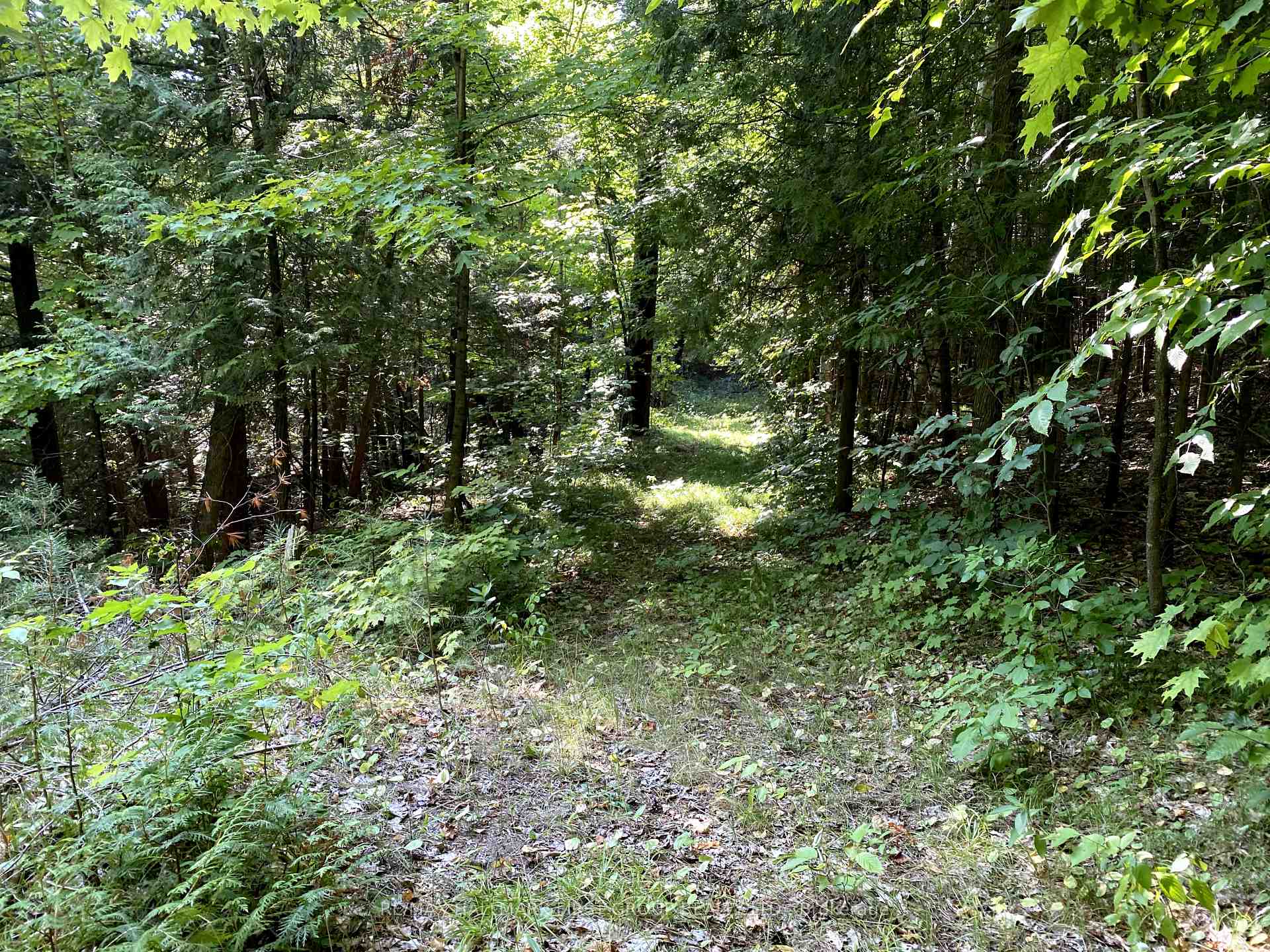 Photo 34 of 501 Zion Line, Cavan Monaghan, Cavan Twp — HOMEH