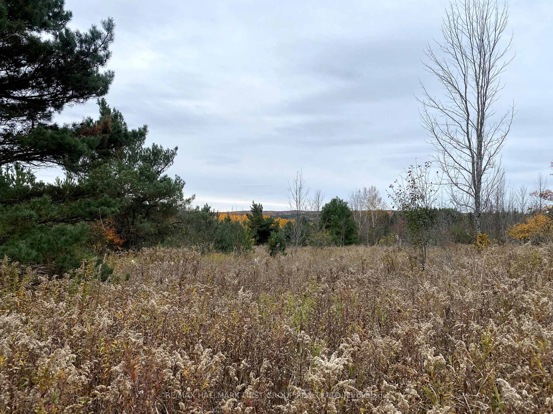 Photo 36 of 501 Zion Line, Cavan Monaghan, Cavan Twp — HOMEH