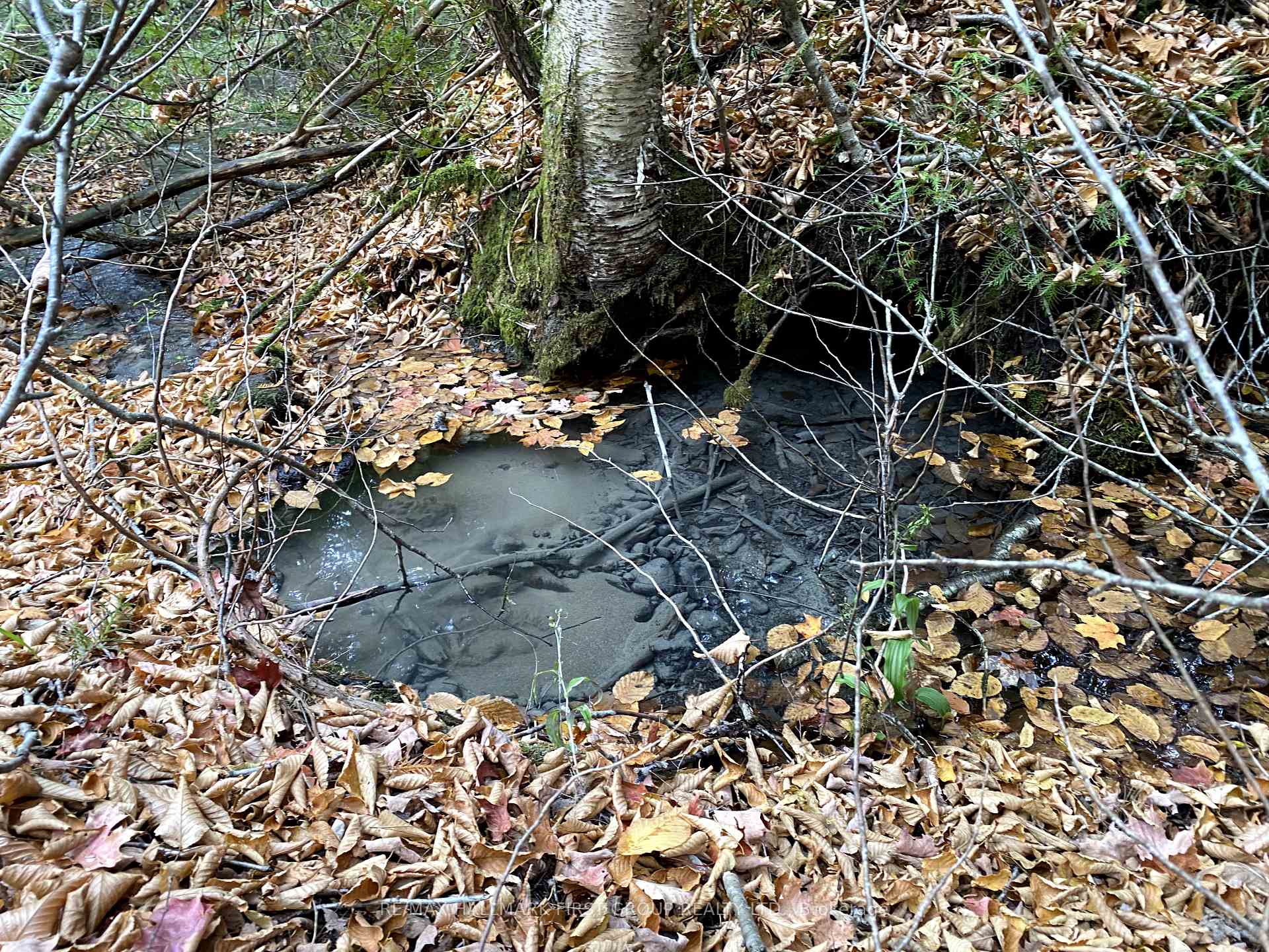 Photo 38 of 501 Zion Line, Cavan Monaghan, Cavan Twp — HOMEH