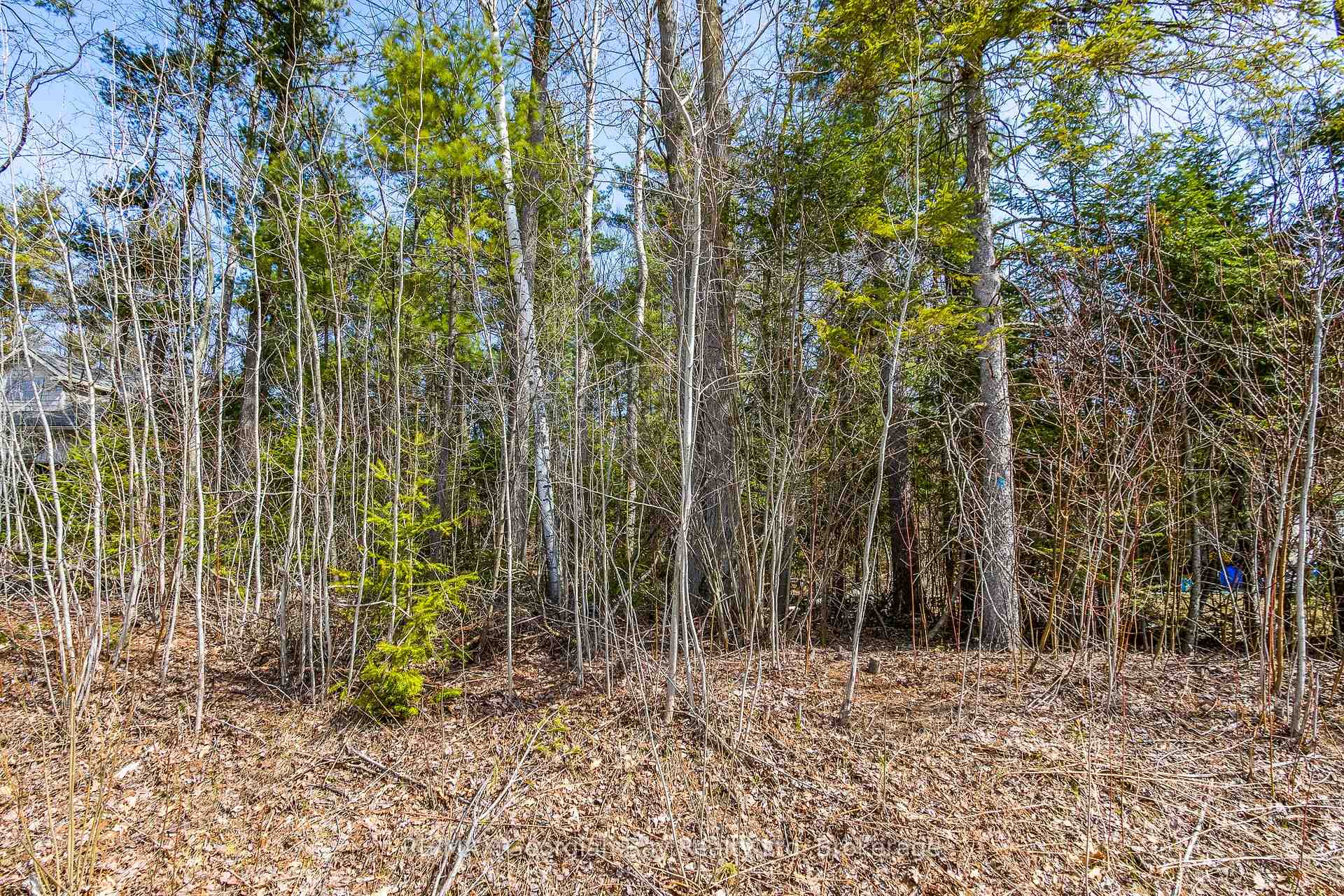 Photo 9 of Lot 102 Emilio Place, Tiny, Rural Tiny — HOMEH
