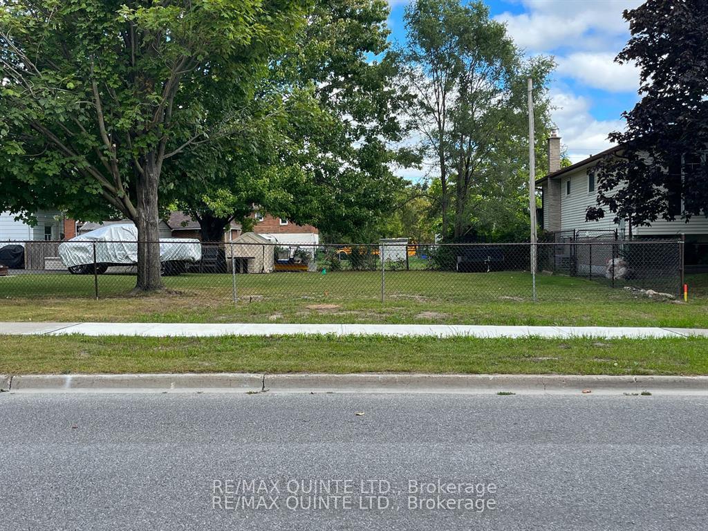 Photo 4 of 177 Singleton Drive, Belleville, Belleville Ward — HOMEH