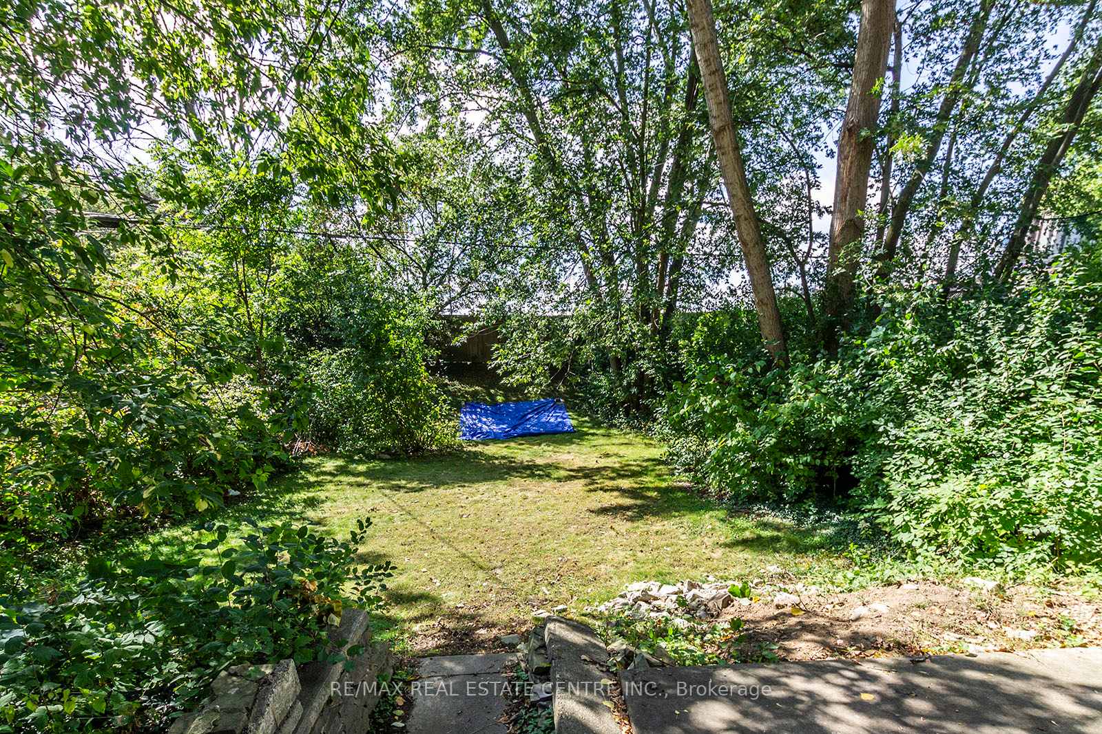 Photo 27 of 133 Albert Street, Waterloo — HOMEH