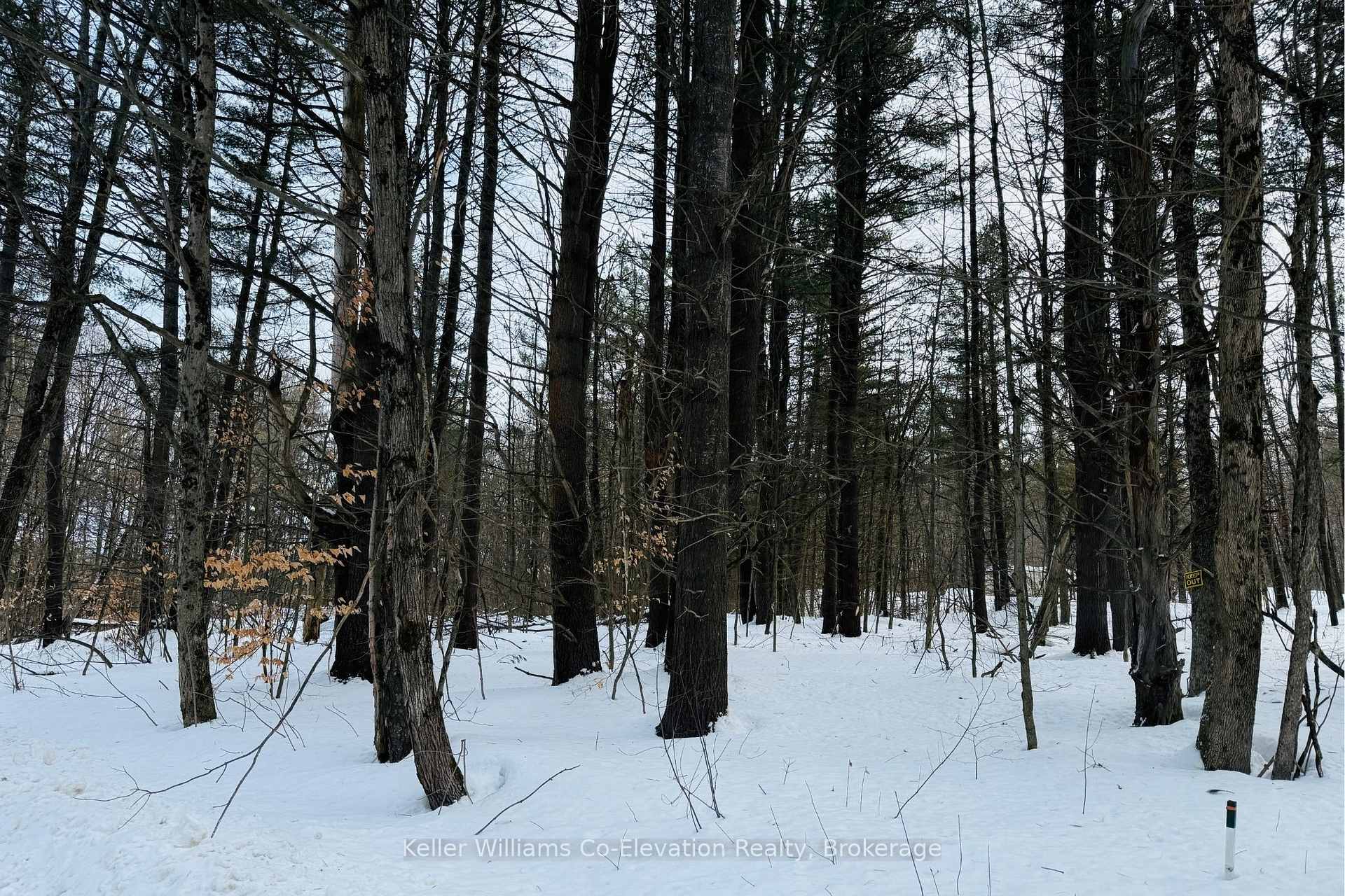 Photo 6 of Lt Pt 3 Whites Road, Muskoka Lakes, Medora — HOMEH