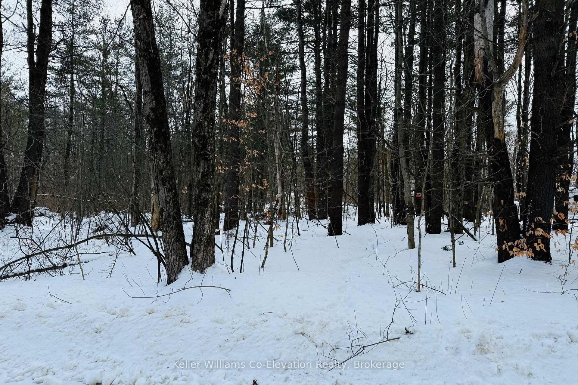 Photo 7 of Lt Pt 3 Whites Road, Muskoka Lakes, Medora — HOMEH