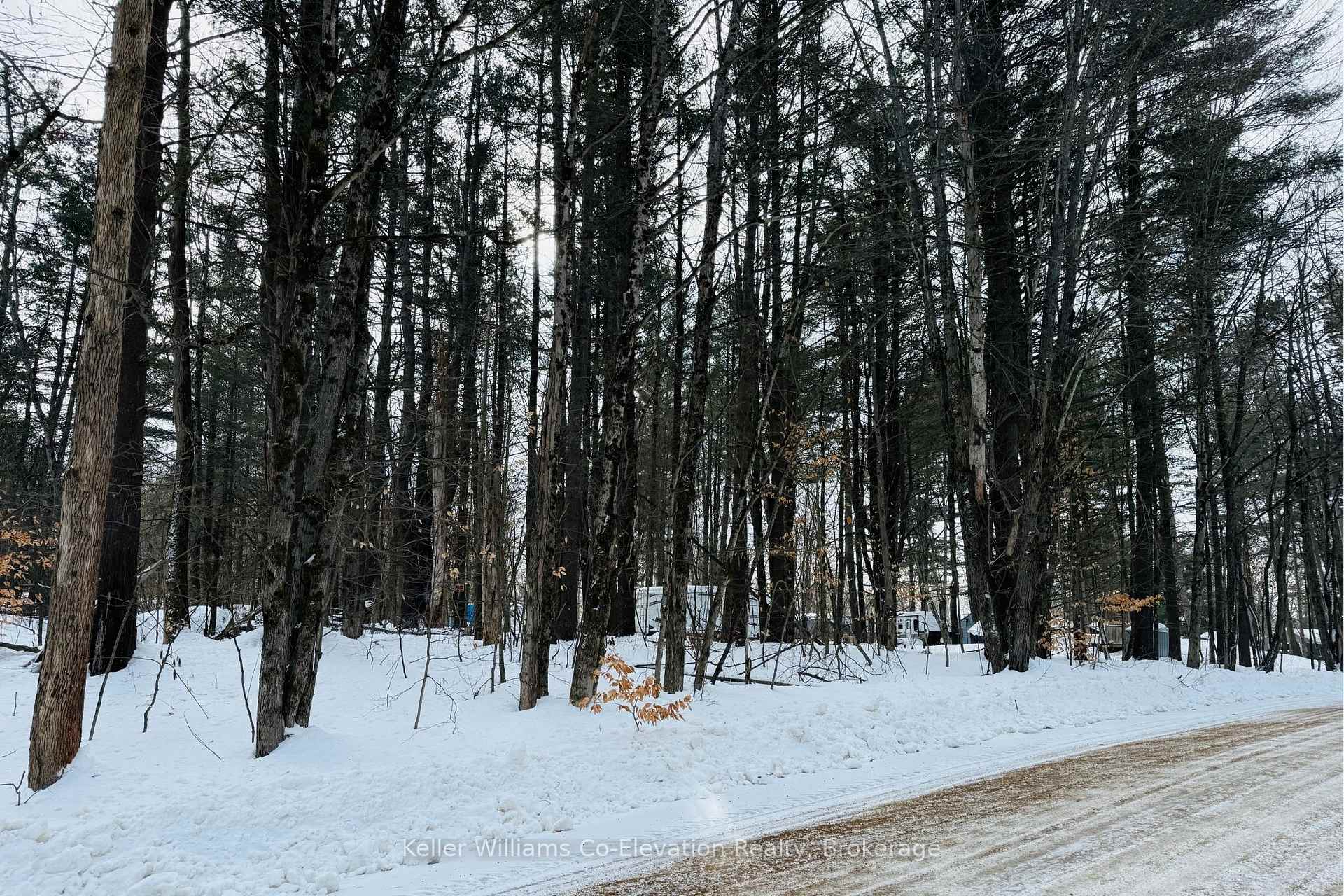 Photo 9 of Lt Pt 3 Whites Road, Muskoka Lakes, Medora — HOMEH