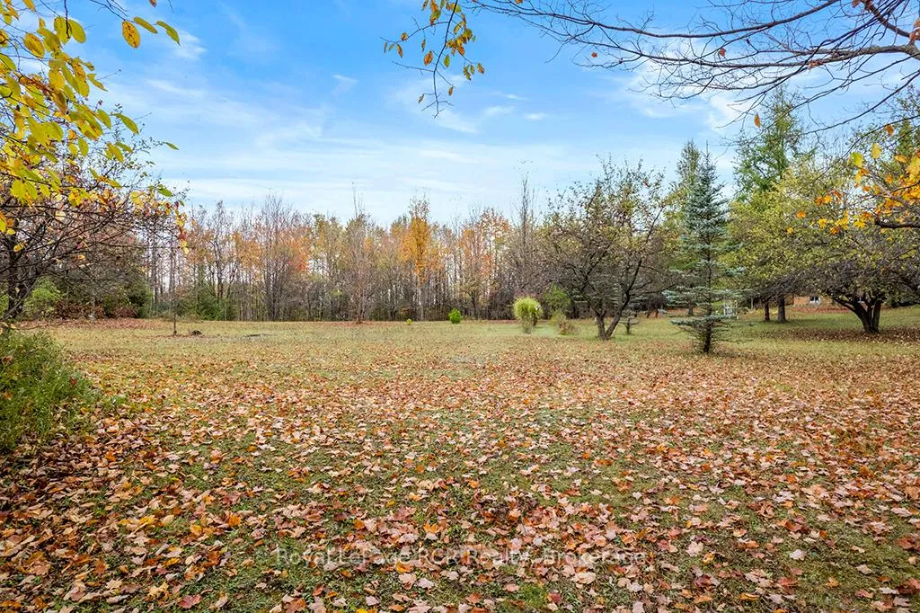 Photo 9 of 447233 10th Concession, Grey Highlands — HOMEH