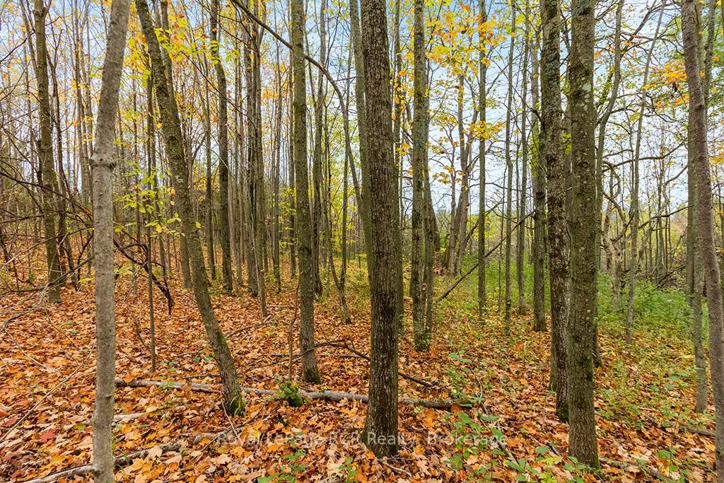 Photo 15 of 447233 10th Concession, Grey Highlands — HOMEH