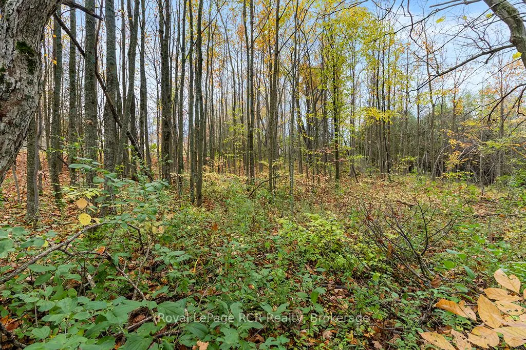 Photo 16 of 447233 10th Concession, Grey Highlands — HOMEH