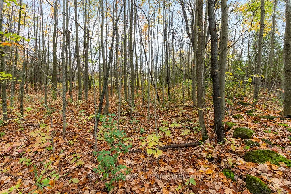 Photo 17 of 447233 10th Concession, Grey Highlands — HOMEH