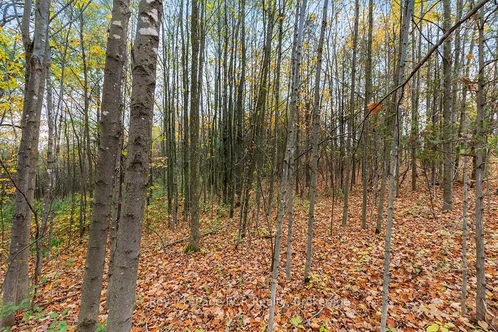 Photo 18 of 447233 10th Concession, Grey Highlands — HOMEH