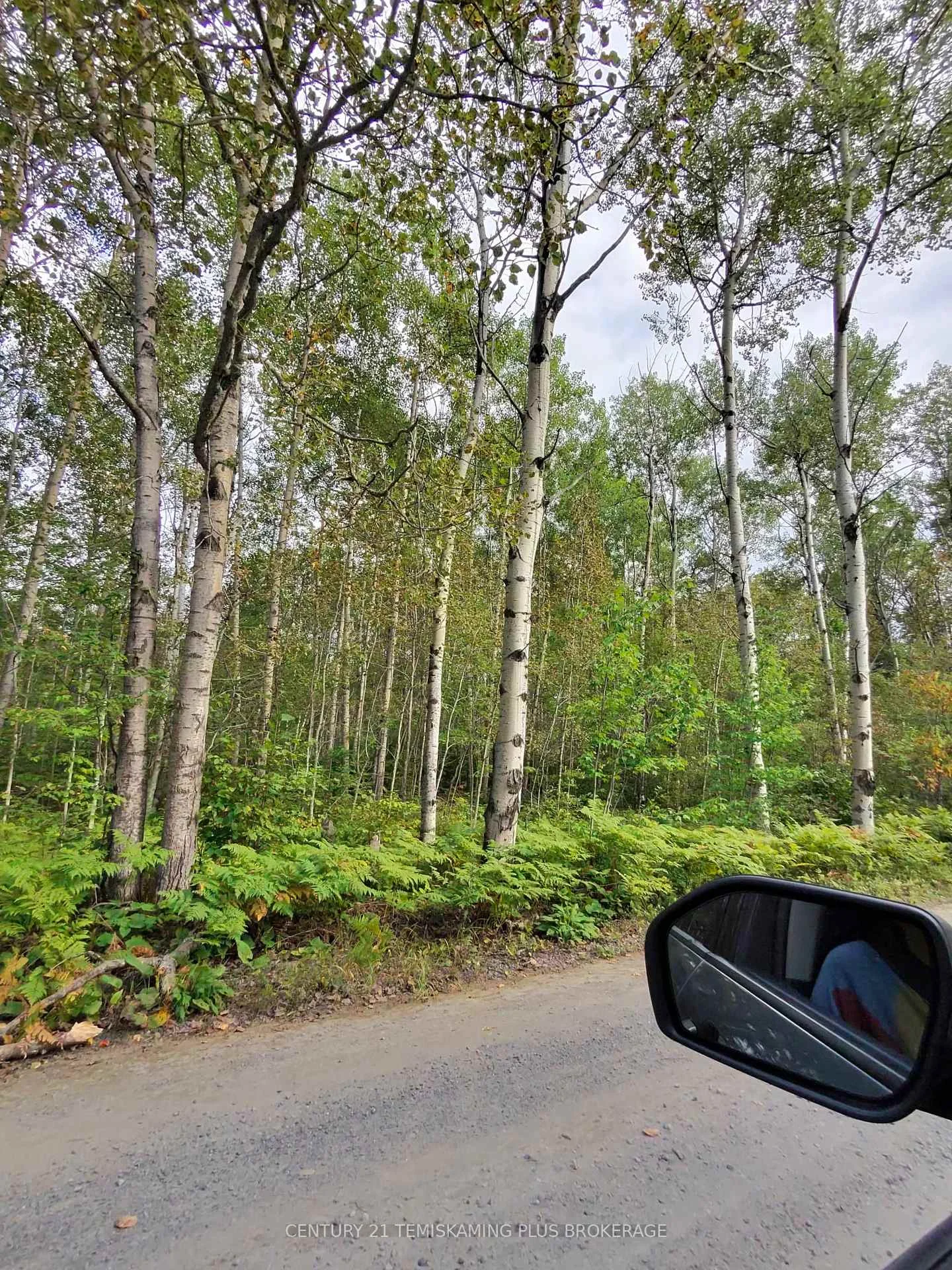 Photo of Part 13 Girl Guide Road
