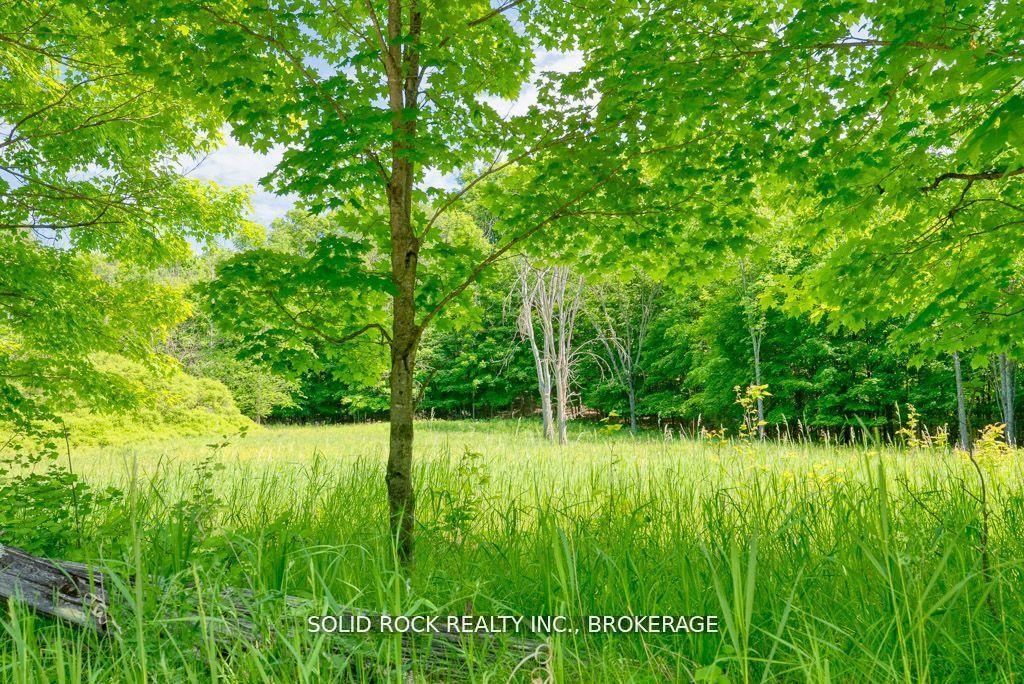 Photo 11 of LOT 24 Lee Road, Frontenac, Frontenac South — HOMEH